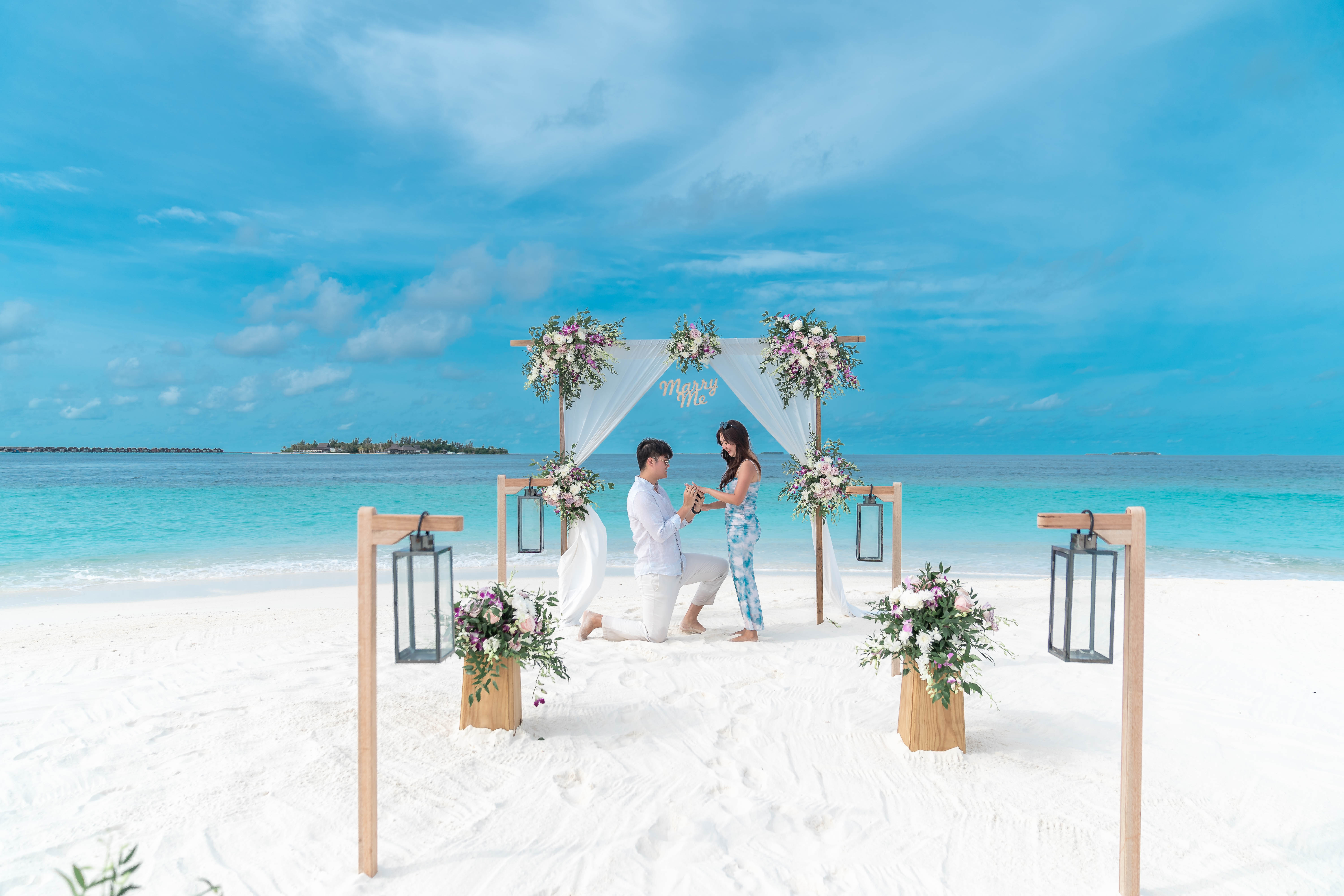 Daryl & Eunice — Proposal — photo 3