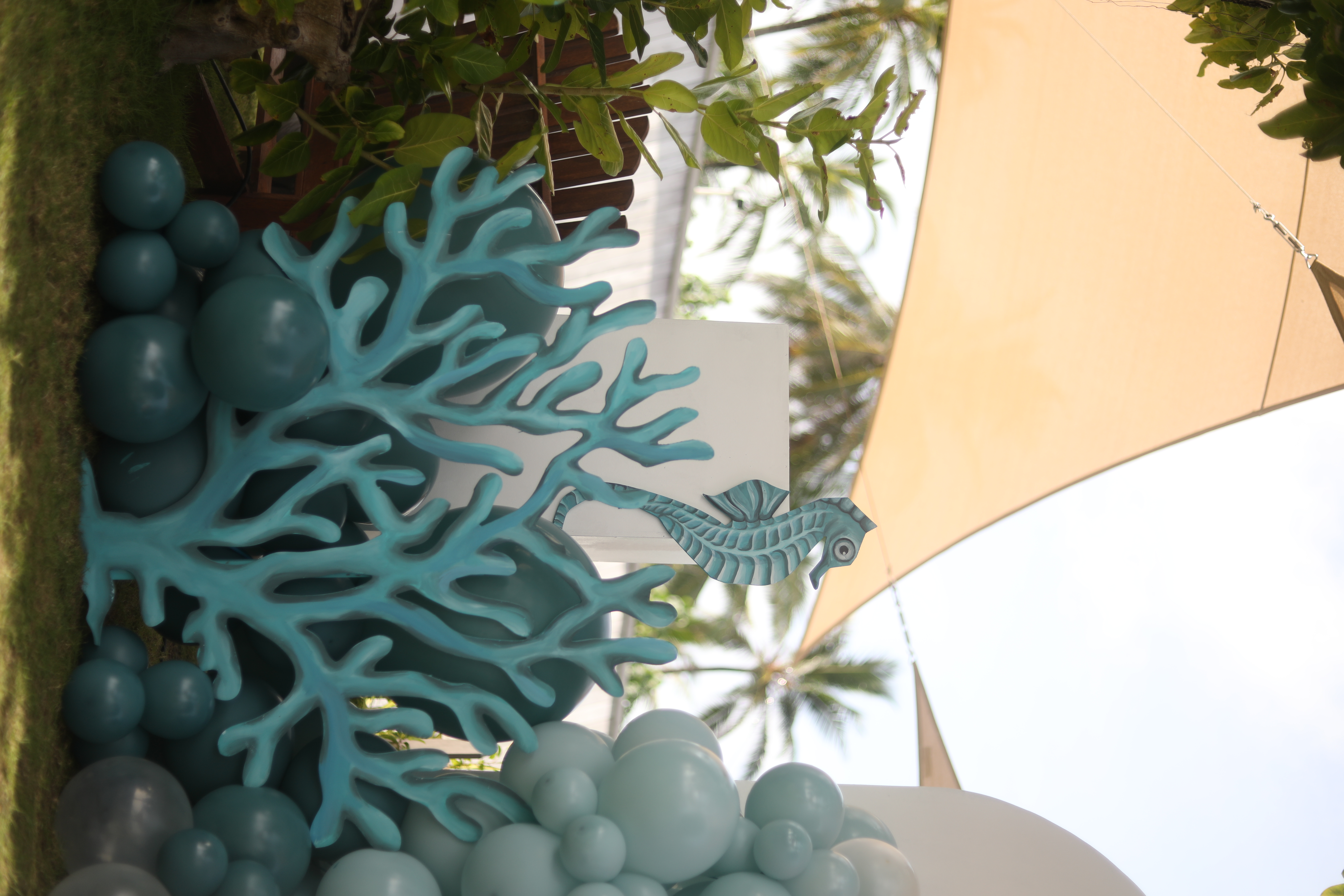 Eva's Birthday — The Ritz-Carlton Maldives — photo 1