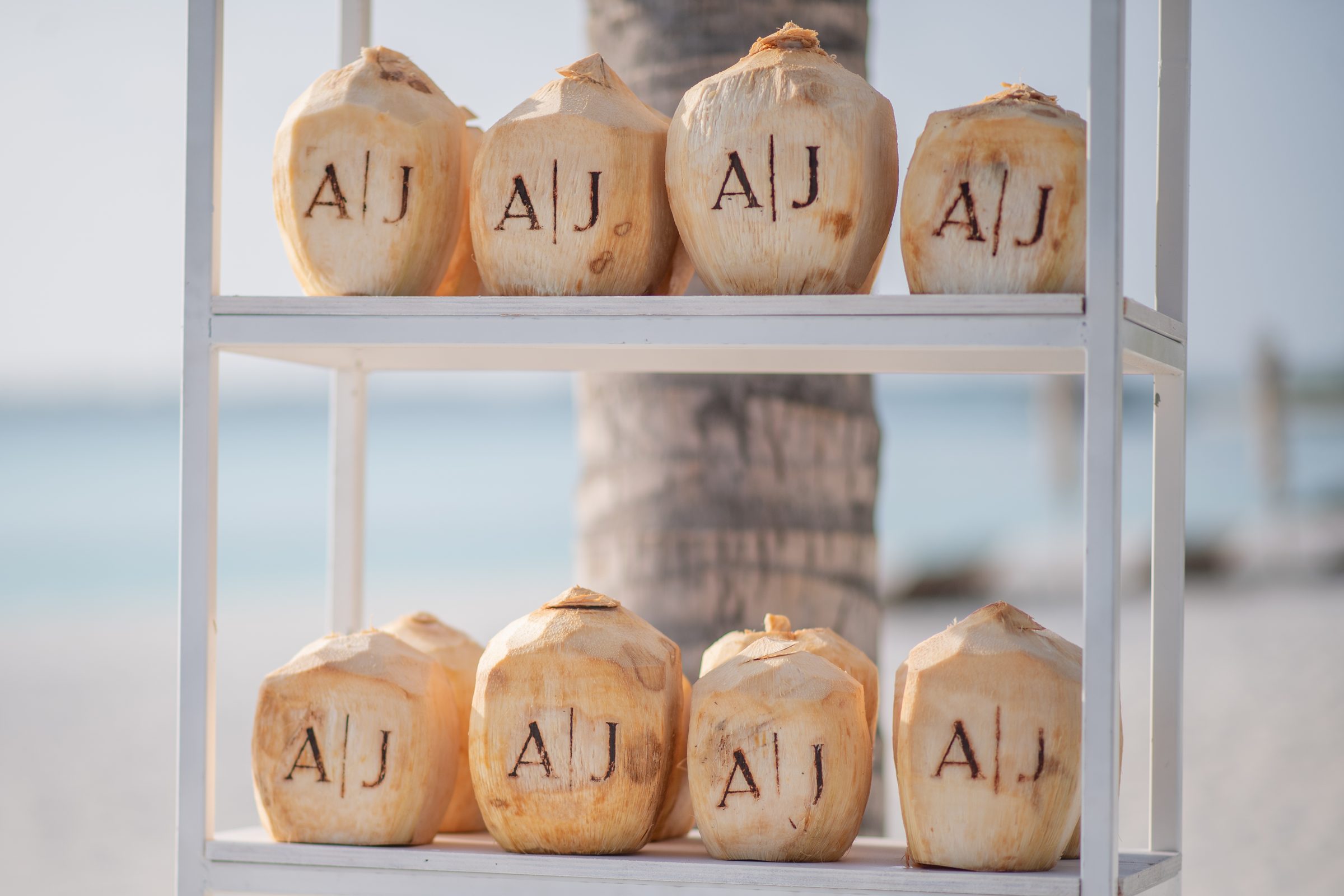 Jadine & Andrew — The Ritz-Carlton Maldives — photo 10