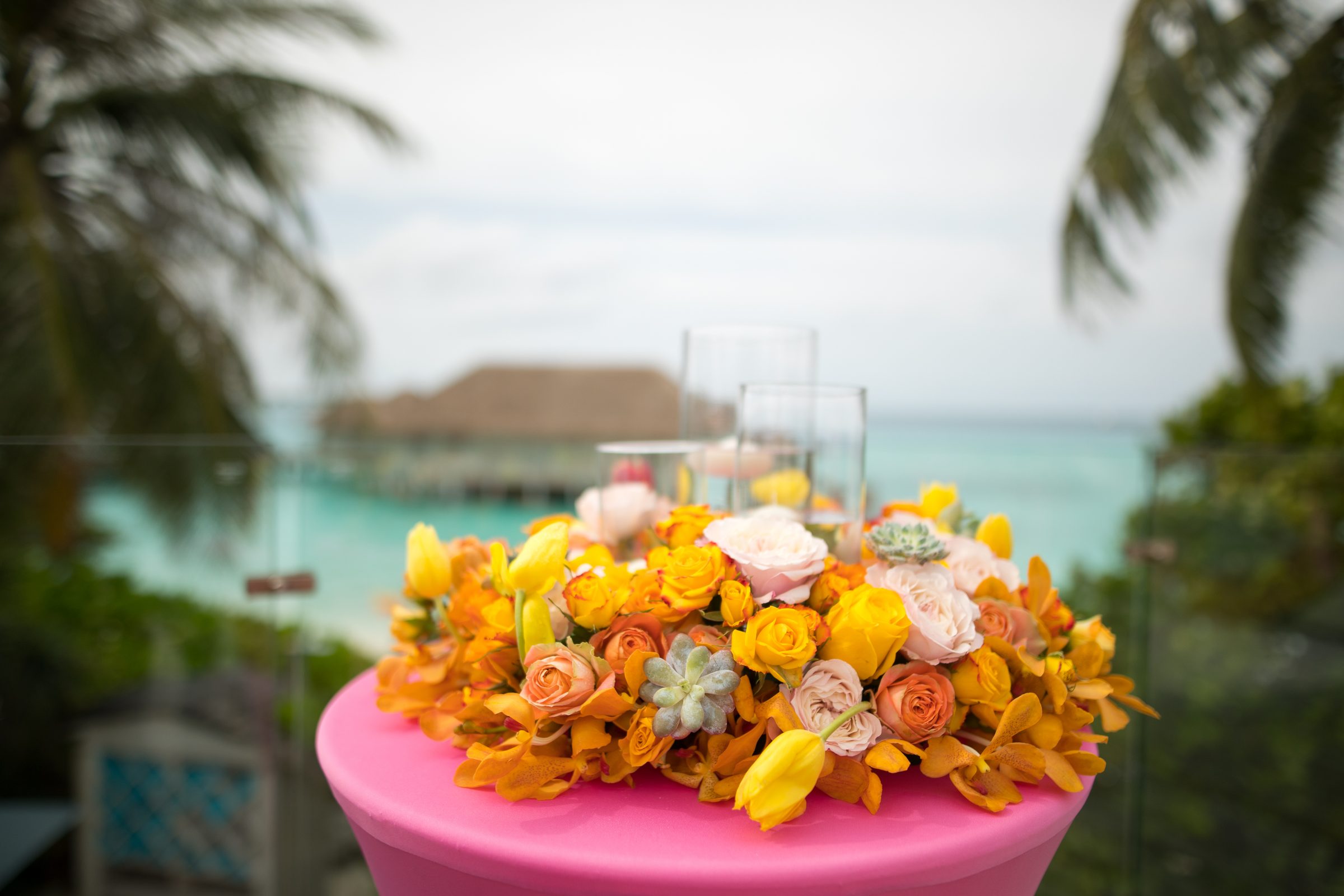 Splendid Maldives — Finolhu