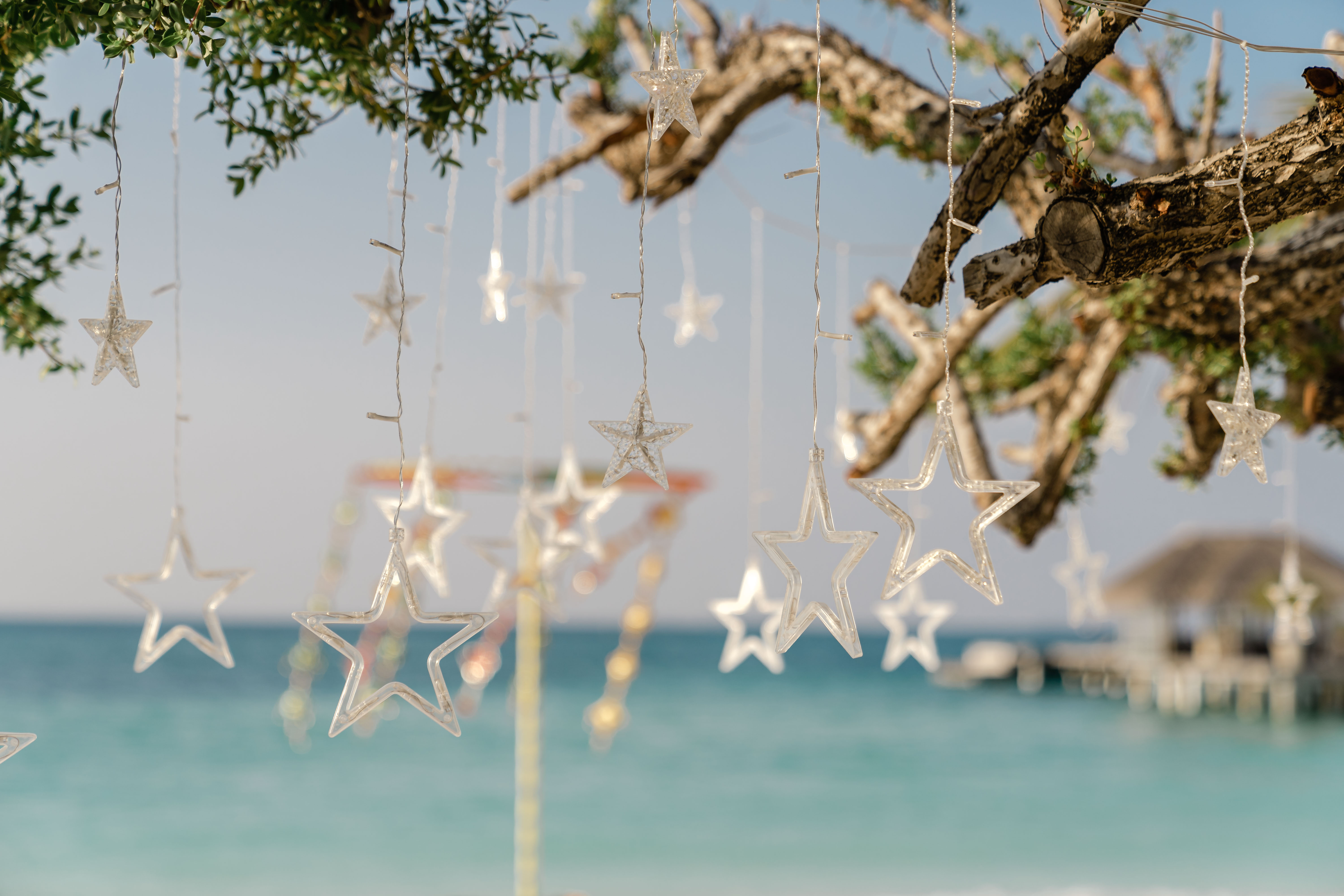 SUSE — LUX* South Ari Atoll — photo 8